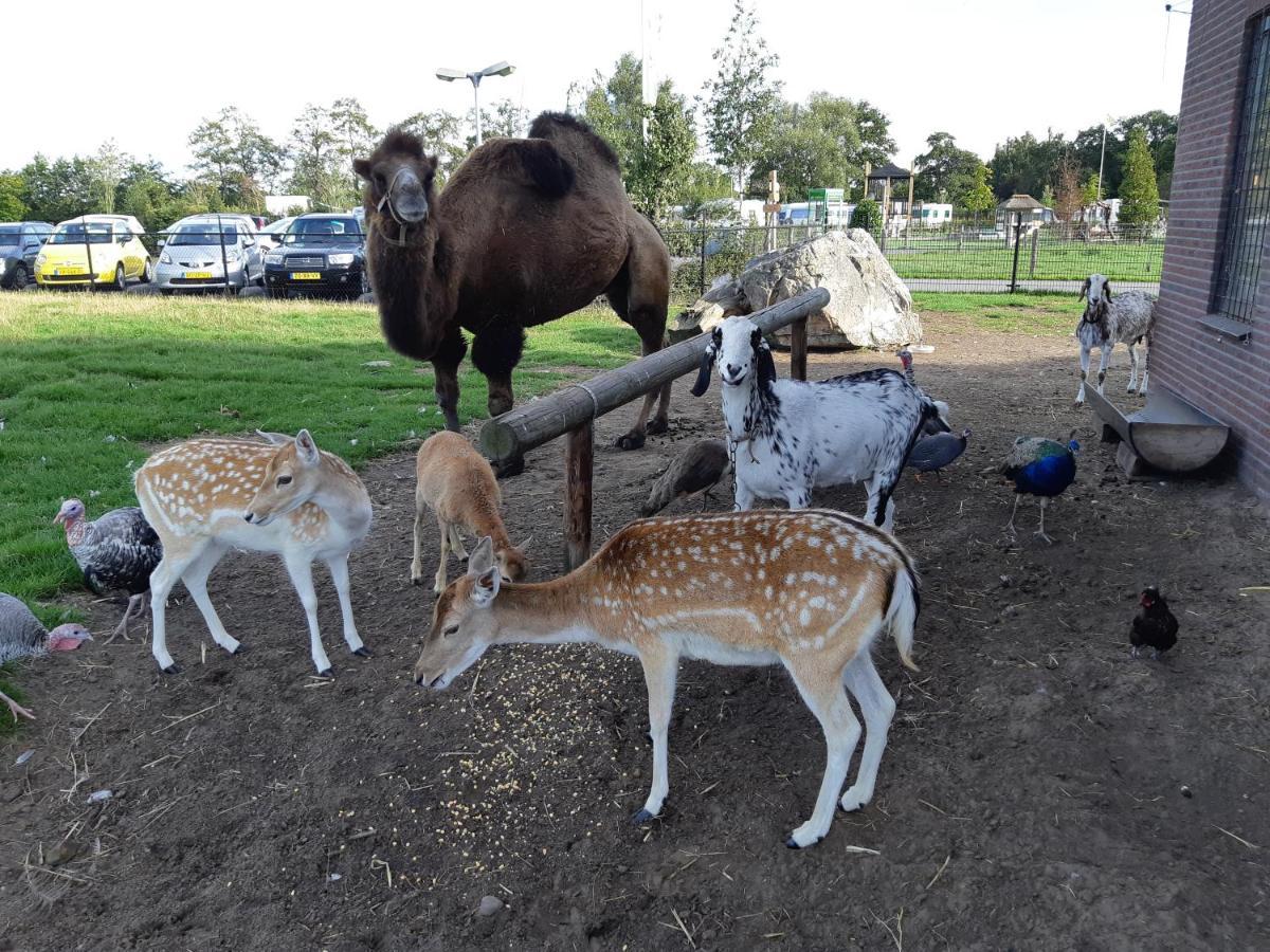 Camping Nieuw Romalo Voorthuizen Dış mekan fotoğraf