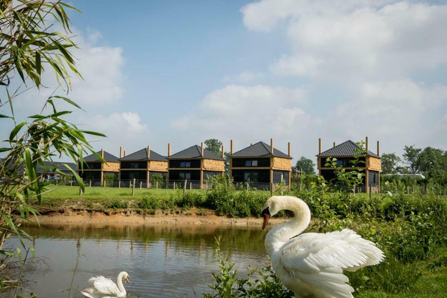 Camping Nieuw Romalo Voorthuizen Dış mekan fotoğraf